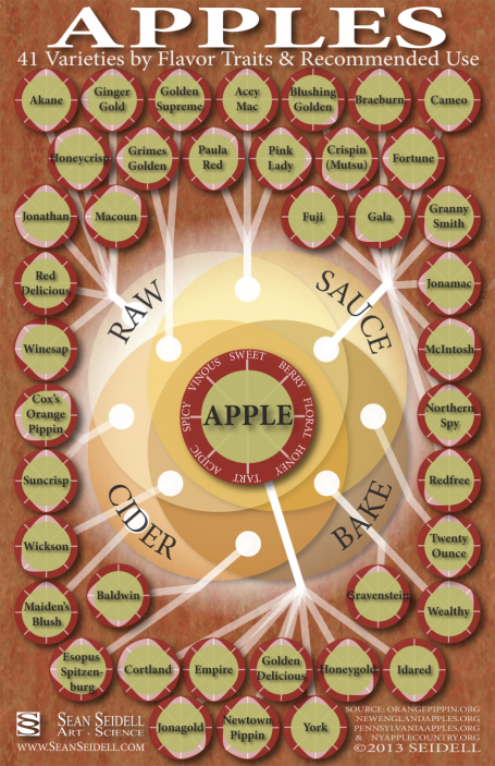 Apples | Varieties, Hwo to use, which ones to use for what, information, crafts